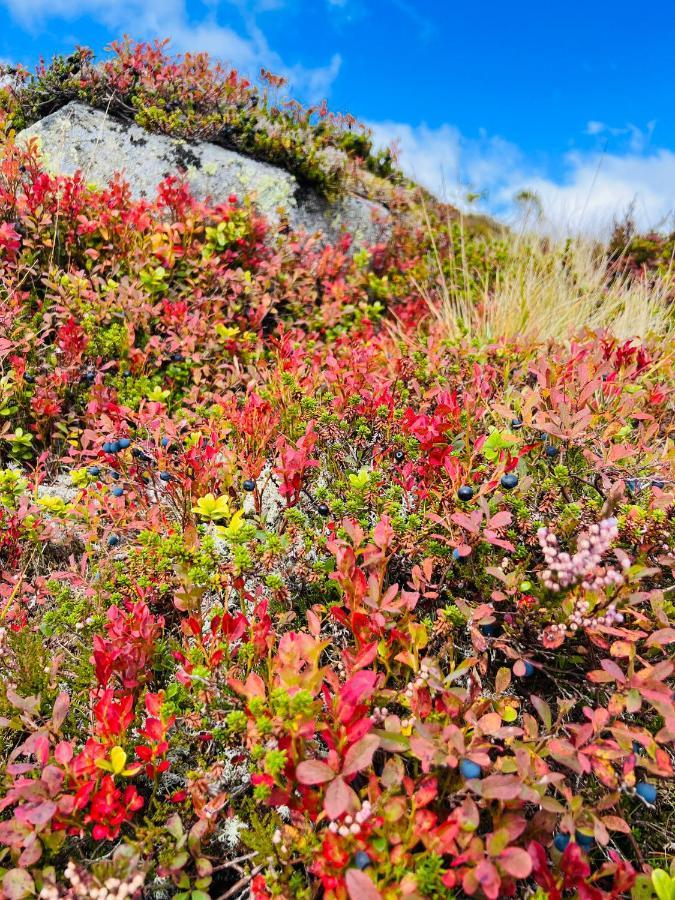 Flott Leilighet Pa Haugen I Sirdal Tjorhom Exteriör bild